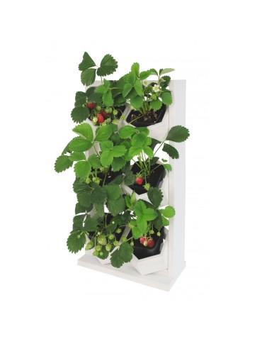 Grządki i Warzywniaki - Drewniane kwietniki wertykalne RD-8/2x3 - Białe - produkt 6