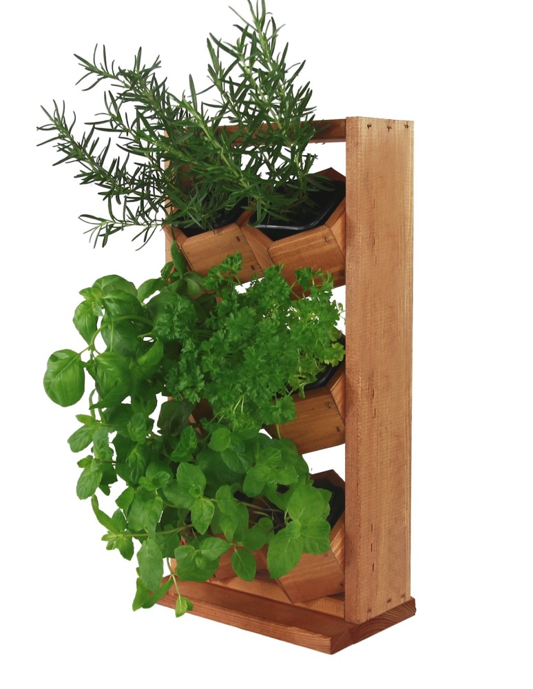 Grządki i Warzywniaki - Drewniane kwietniki wertykalne RD-8/2x3 - Olcha - product b2b.wamar.biz 7