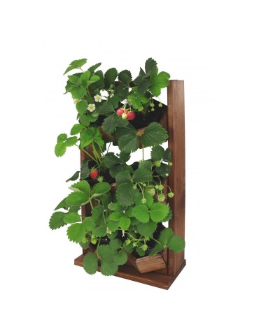 Grządki i Warzywniaki - Drewniane kwietniki wertykalne RD-8/2x3 - Olcha - product 10