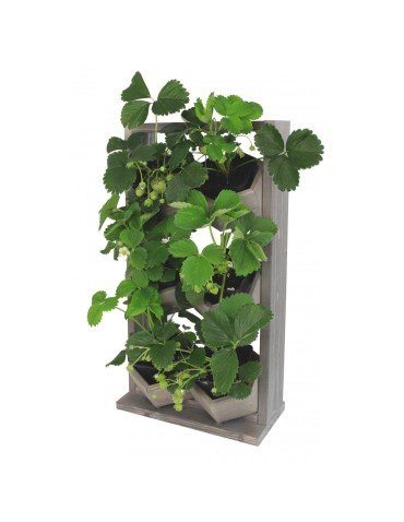 Grządki i Warzywniaki - Drewniane kwietniki wertykalne RD-8/2x3 - Szare - product 4