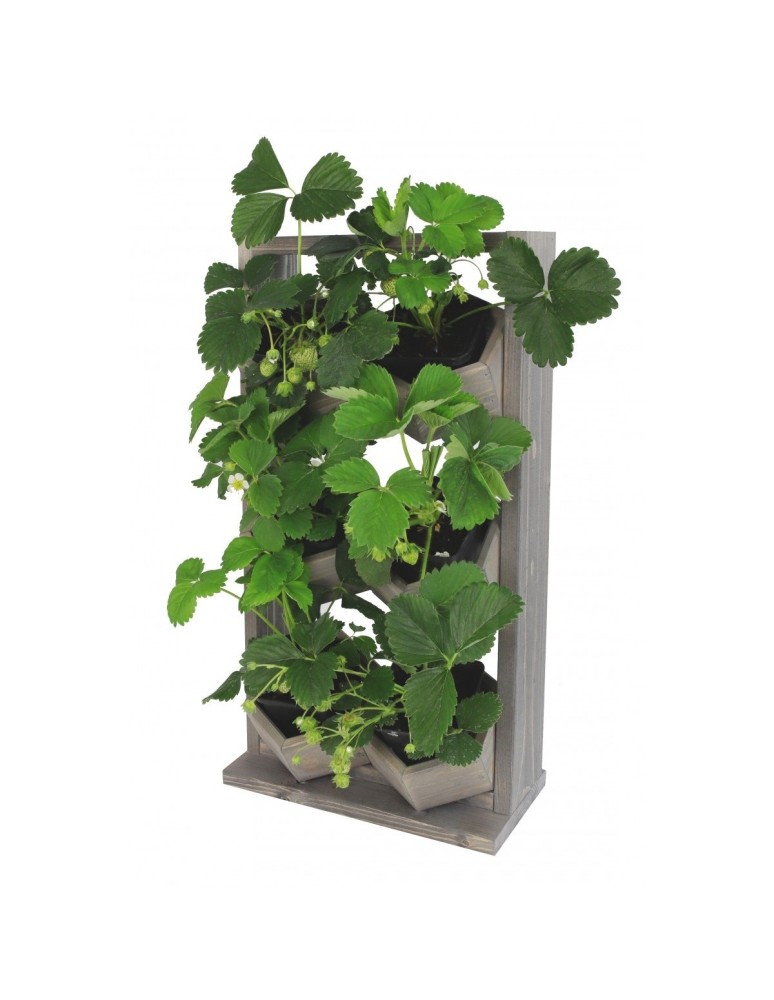 Grządki i Warzywniaki - Drewniane kwietniki wertykalne RD-8/2x3 - Szare - product b2b.wamar.biz 4