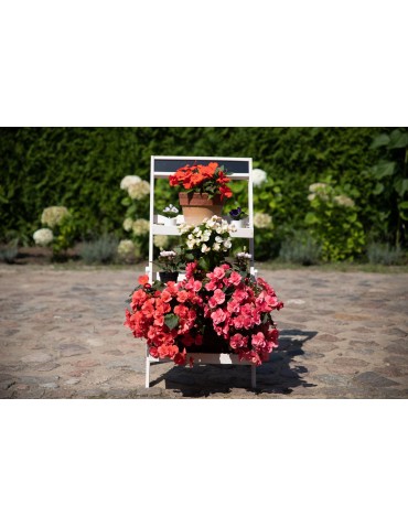 Kwietniki - Drewniana etażerka na kwiaty /100x52x52 cm/ Wykończenie Białe - product 6