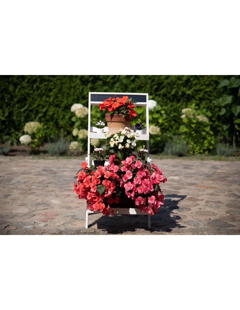 Kwietniki - Drewniana etażerka na kwiaty /100x52x52 cm/ Wykończenie Białe - product b2b.wamar.biz 6