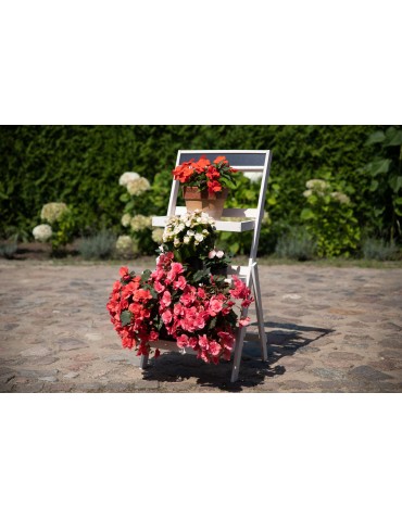 Kwietniki - Drewniana etażerka na kwiaty /100x52x52 cm/ Wykończenie Białe - product 7