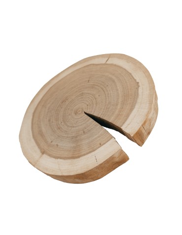 Okorowany Plaster Czeremchy 10-15 cm/ gr. 2 cm/ Szlifowany - product 2