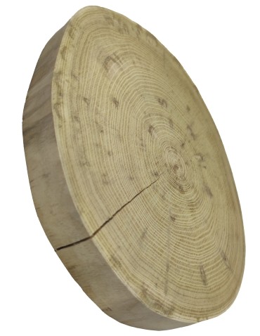 Okorowany Plaster Akacji 25-30 cm/ gr. 4 cm/ Szlifowany - product 2