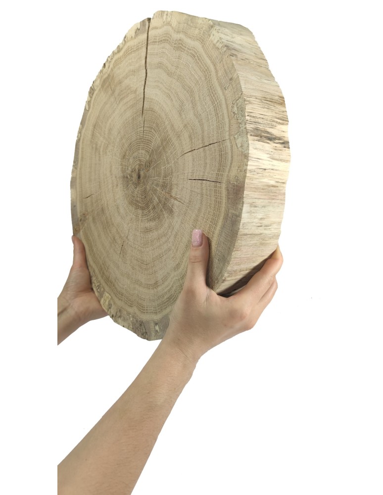 Plastry Okrągłe - Okorowany Plaster Dębu 30-35 cm/ gr. 6 cm/ Szlifowany - product b2b.wamar.biz 1