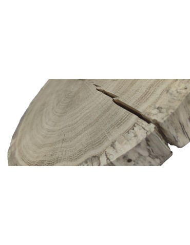 Okorowany Plaster Dębu 30-35 cm/ gr. 6 cm/ Szlifowany - product 2