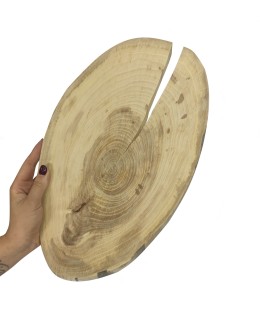 Okorowany Plaster Wiązu 30-35 cm/ gr. 1,5 cm/ Szlifowany