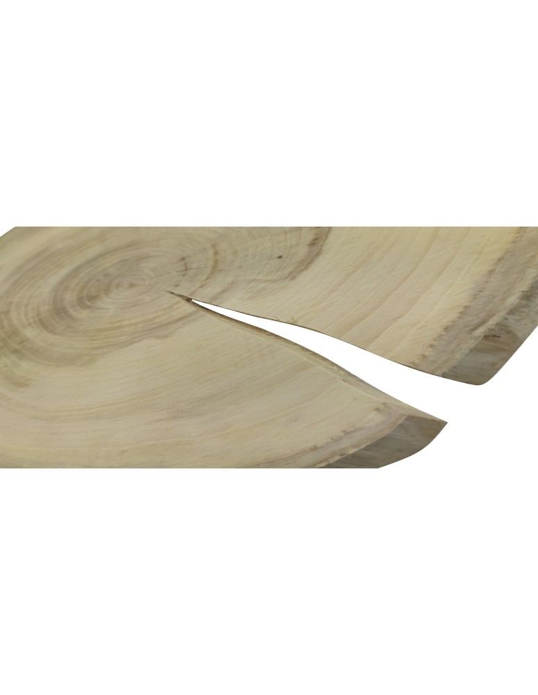 Plastry Drewna - Okorowany Plaster Wiązu 30-35 cm/ gr. 1,5 cm/ Szlifowany - produkt b2b.wamar.biz 3