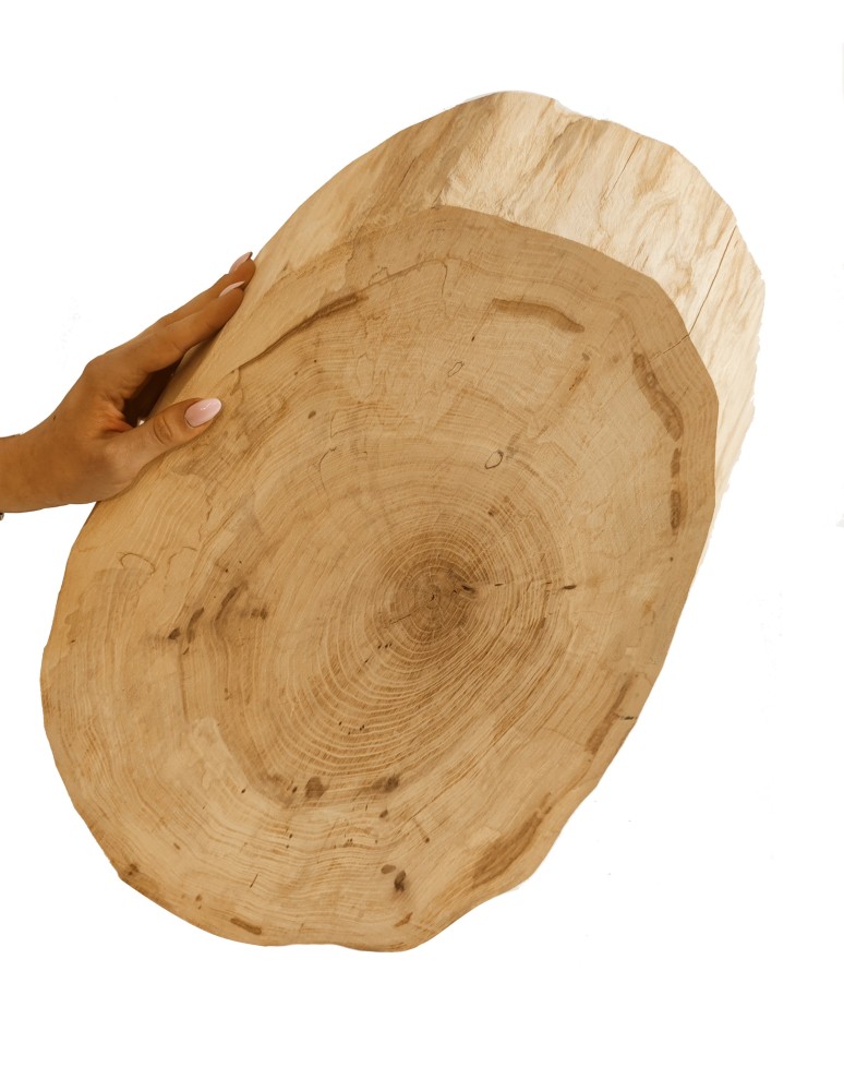 Plastry Drewna - Okorowany Plaster Wiązu 50-55 cm/ gr. 5 cm/ Szlifowany - product b2b.wamar.biz 1