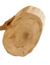 Okorowany Plaster Wiązu 50-55 cm/ gr. 5 cm/ Szlifowany