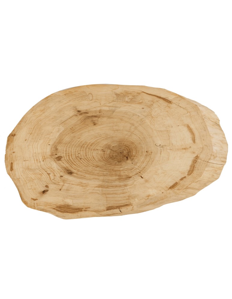 Plastry Drewna - Okorowany Plaster Wiązu 50-55 cm/ gr. 5 cm/ Szlifowany - product b2b.wamar.biz 3