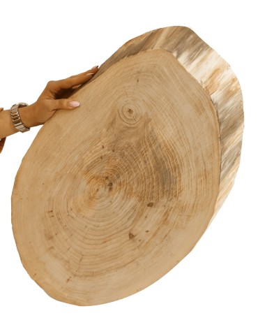 Okorowany Plaster Wiązu 60-65 cm/ gr. 4 cm/ Szlifowany