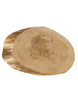 Okorowany Plaster Wiązu 60-65 cm/ gr. 4 cm/ Szlifowany - product 2