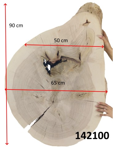 Okorowany Plaster Topoli 90x65 cm/ gr. 8 cm/ Szlifowany Unikat 142100 - produkt 2