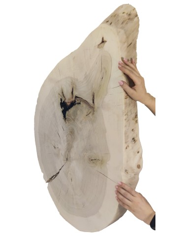 Plastry Drewna - Okorowany Plaster Topoli 90x65 cm/ gr. 8 cm/ Szlifowany Unikat 142100 - product 3