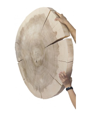 Okorowany Plaster Topoli 100x95 cm/ gr. 9 cm/ Szlifowany Unikat 142700