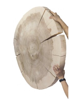 Okorowany Plaster Topoli 100x95 cm/ gr. 9 cm/ Szlifowany Unikat 142700