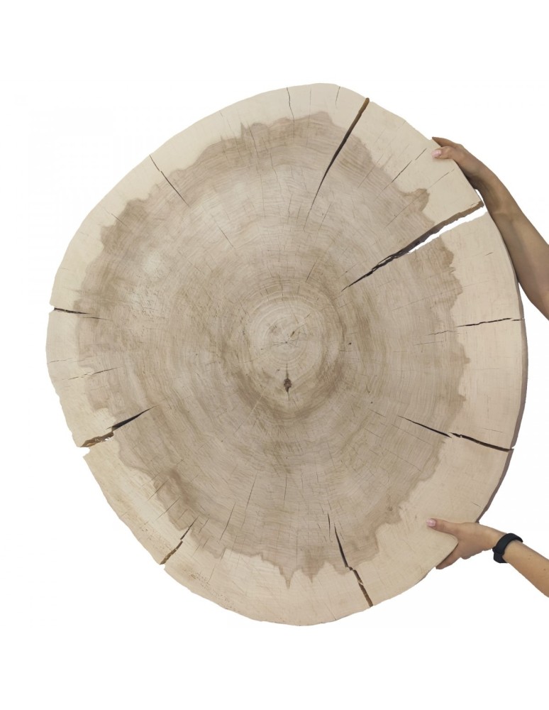 Plastry Drewna - Okorowany Plaster Topoli 100x95 cm/ gr. 9 cm/ Szlifowany Unikat 142700 - product b2b.wamar.biz 2