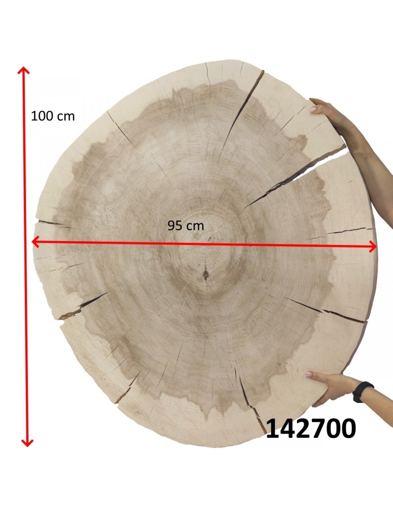 Plastry Drewna - Okorowany Plaster Topoli 100x95 cm/ gr. 9 cm/ Szlifowany Unikat 142700 - product b2b.wamar.biz 6