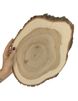 Plaster Czeremchy 35-40 cm/ gr. 1,5 cm/ Szlifowany z Korą