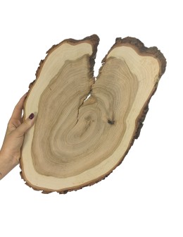 Plaster Czeremchy 35-40 cm/ gr. 1,5 cm/ Szlifowany z Korą Unikat 112648