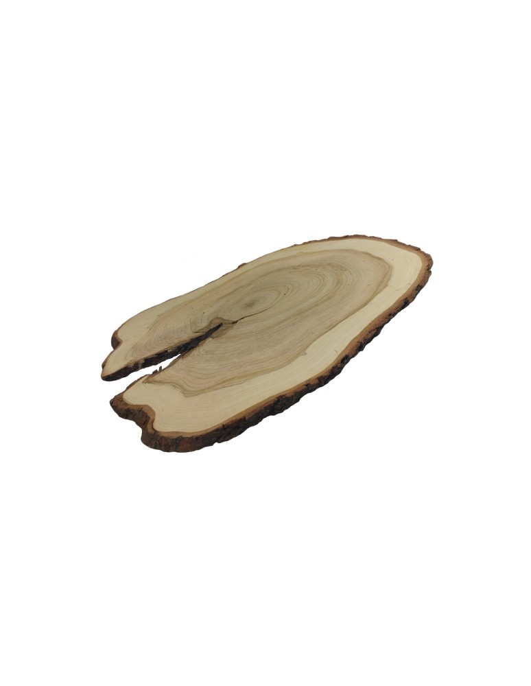 Plastry Drewna - Plaster Czeremchy 35-40 cm/ gr. 1,5 cm/ Szlifowany z Korą Unikat 112648 - product b2b.wamar.biz 3