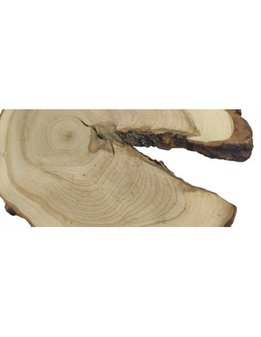 Plastry Drewna - Plaster Czeremchy 35-40 cm/ gr. 1,5 cm/ Szlifowany z Korą Unikat 112648 - product 4