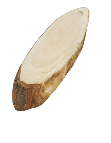 Plastry Drewna - Okorowany Plaster Czeremchy 20-25 cm/ gr. 2 cm/ Szlifowany - product 3