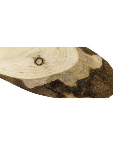 Plastry Drewna - Okorowany Plaster Czeremchy 20-25 cm/ gr. 2 cm/ Szlifowany - product 4