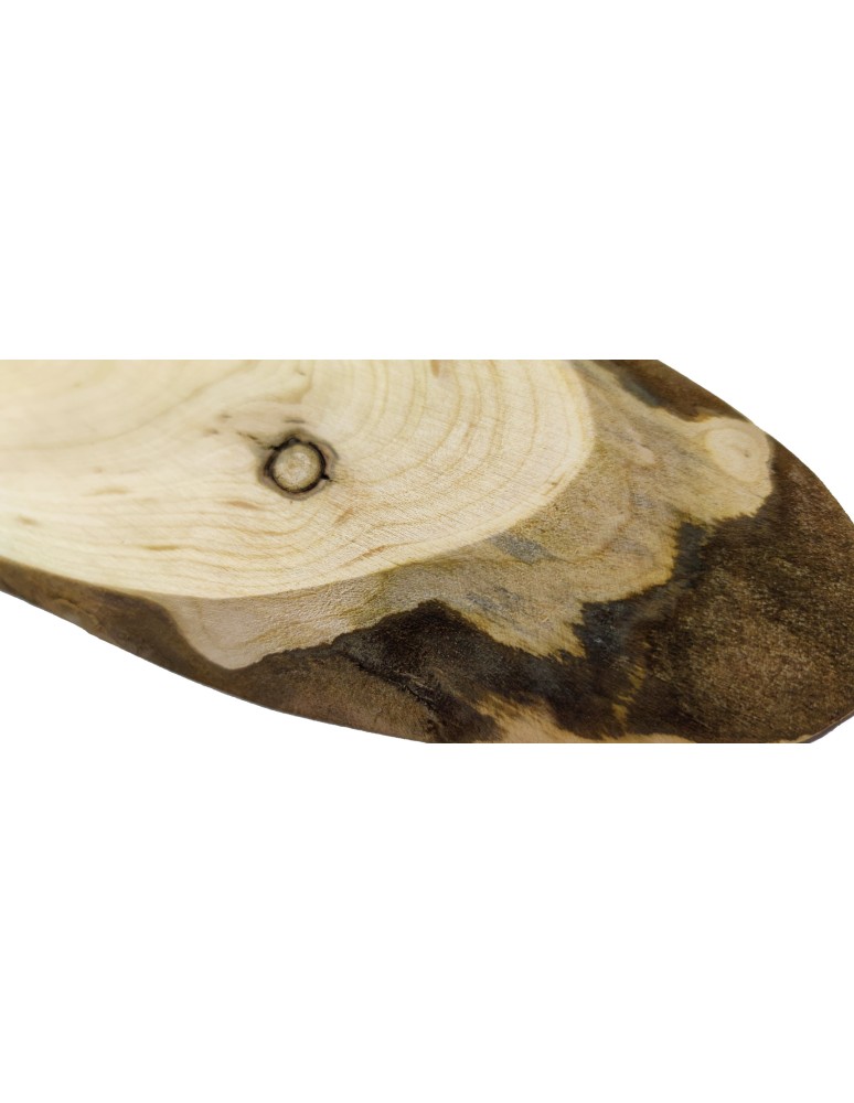 Plastry Drewna - Okorowany Plaster Czeremchy 20-25 cm/ gr. 2 cm/ Szlifowany - product b2b.wamar.biz 4