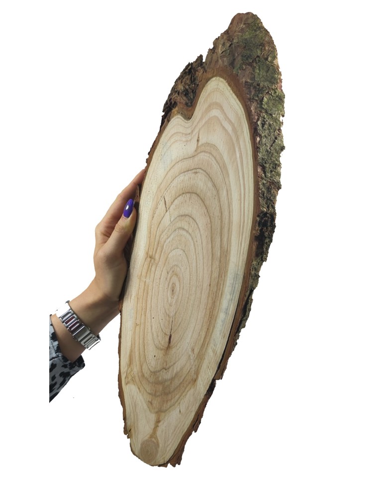Plastry Drewna - Plaster Modrzewia 35-40 cm/ gr. 2 cm/ Szlifowany z Korą - produkt b2b.wamar.biz 1