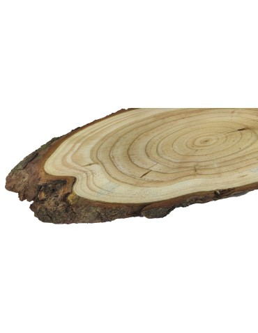 Plastry Drewna - Plaster Modrzewia 35-40 cm/ gr. 2 cm/ Szlifowany z Korą - produkt 3