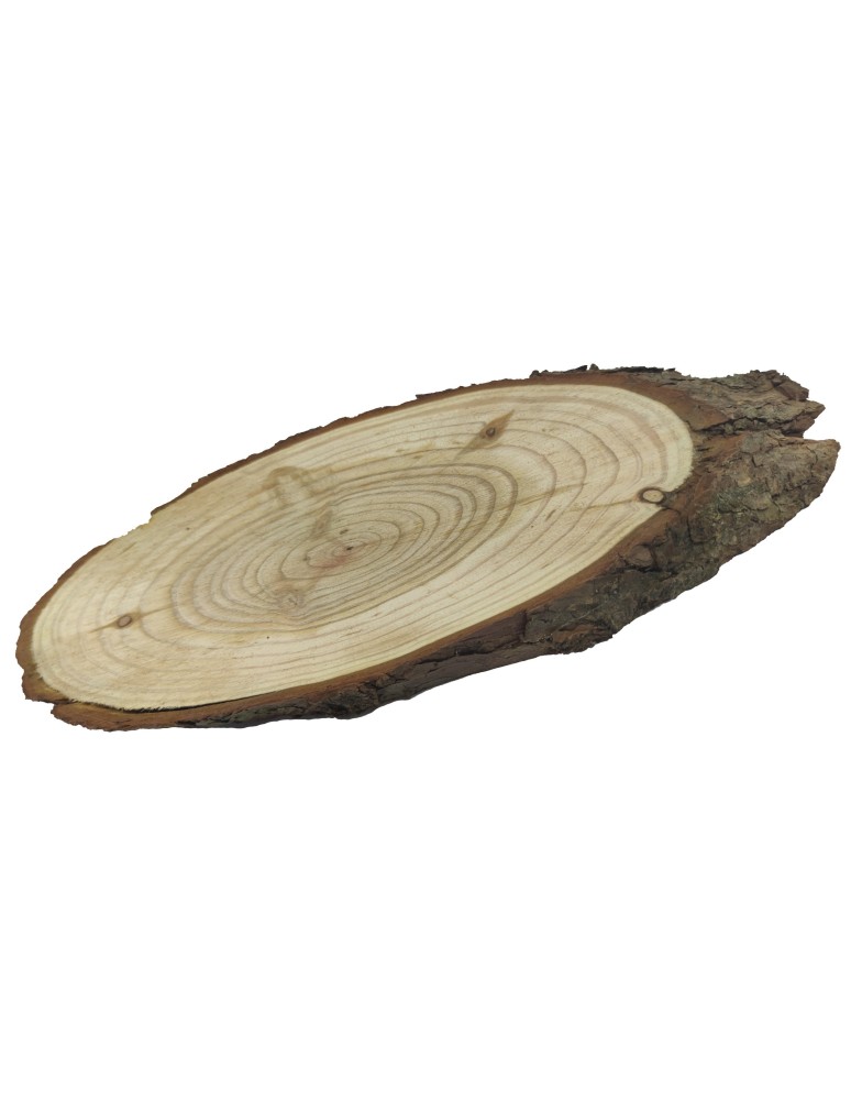 Plastry Drewna - Plaster Modrzewia 35-40 cm/ gr. 2 cm/ Szlifowany z Korą - produkt b2b.wamar.biz 5