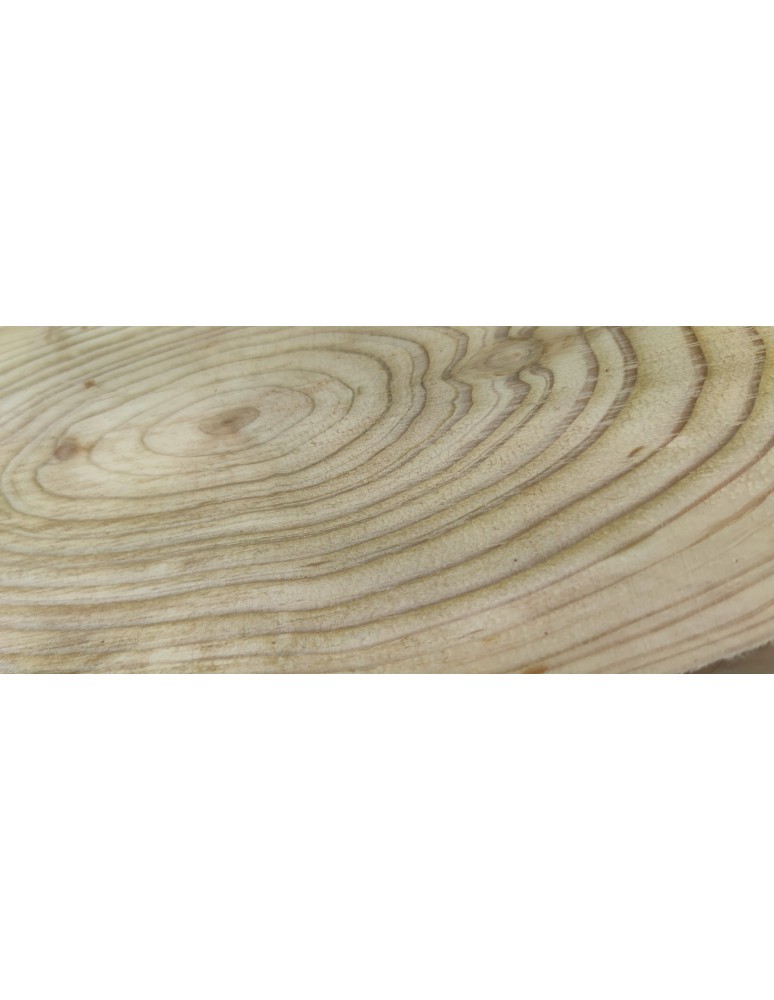 Plastry Drewna - Okorowany Plaster Modrzewia 40-45 cm/ gr. 2 cm/ Szlifowany - product b2b.wamar.biz 5