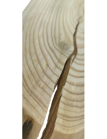 Okorowany Plaster Modrzewia 45-50 cm/ gr. 2 cm/ Szlifowany - product 2