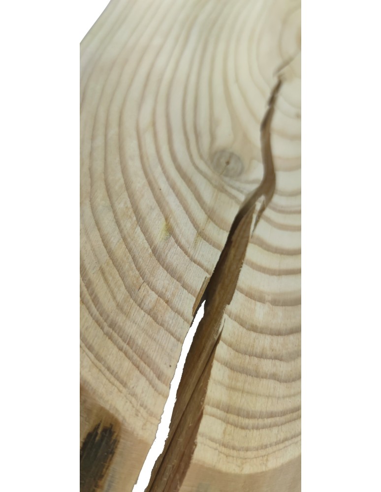 Plastry Drewna - Okorowany Plaster Modrzewia 45-50 cm/ gr. 2 cm/ Szlifowany - product b2b.wamar.biz 2