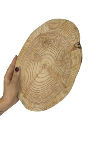 Okorowany Plaster Modrzewia 30-35 cm/ gr. 1,5 cm/ Szlifowany