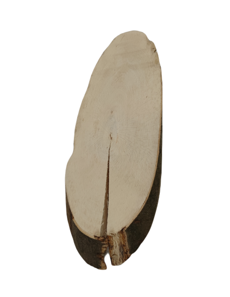 Plastry Drewna - Okorowany Plaster Bukowy 40-45 cm/ gr. 2 cm/ Szlifowany - produkt b2b.wamar.biz 8