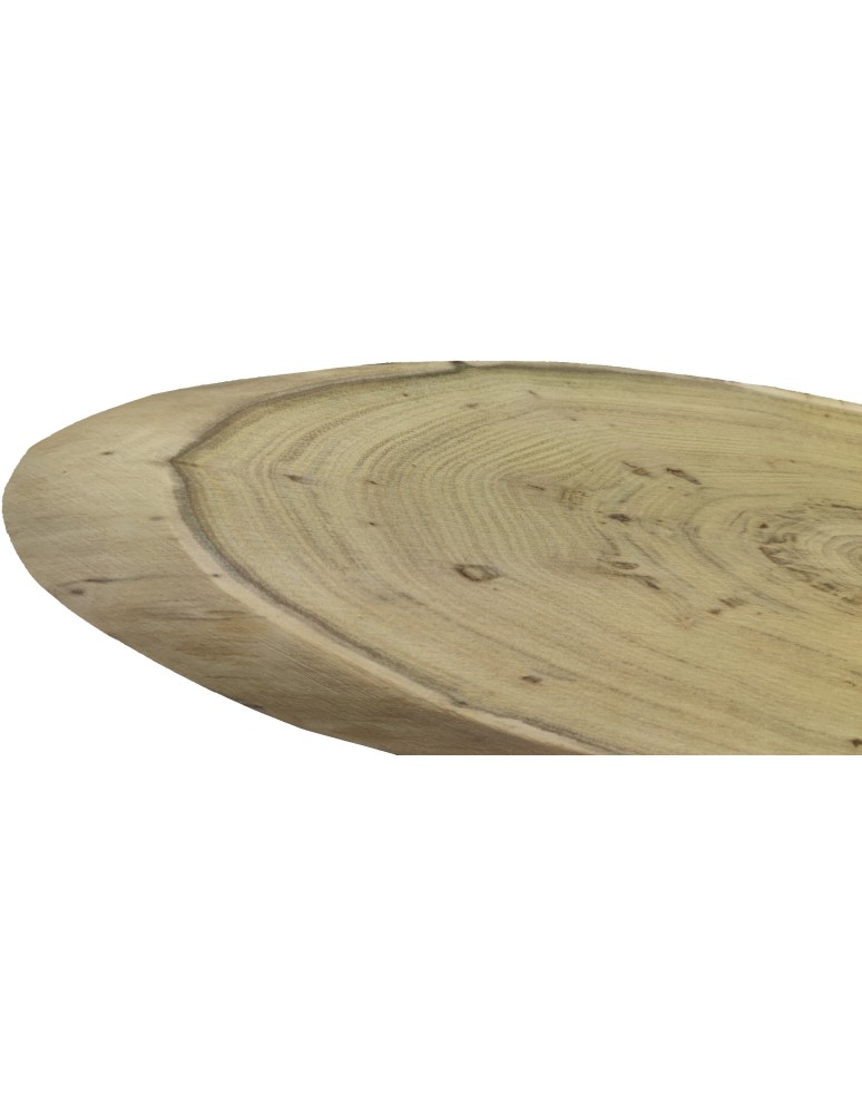 Plastry Drewna - Okorowany Plaster Akacji 45-50 cm/ gr. 2,5 cm/ Szlifowany - product b2b.wamar.biz 2