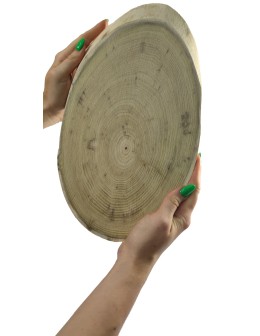 Okorowany Plaster Akacji 25-30 cm/ gr. 2,5 cm/ Szlifowany