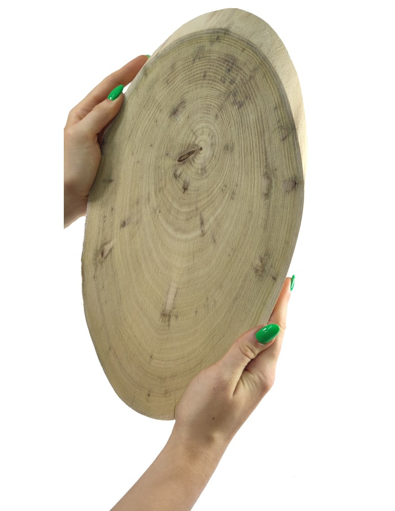 Plastry Drewna - Okorowany Plaster Akacji 35-40 cm/ gr. 2,5 cm/ Szlifowany - product b2b.wamar.biz 1