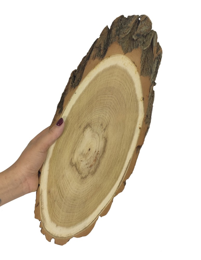 Plastry Drewna - Plaster Akacji 40-45 cm/ gr. 4 cm/ Szlifowany z Korą - produkt b2b.wamar.biz 1