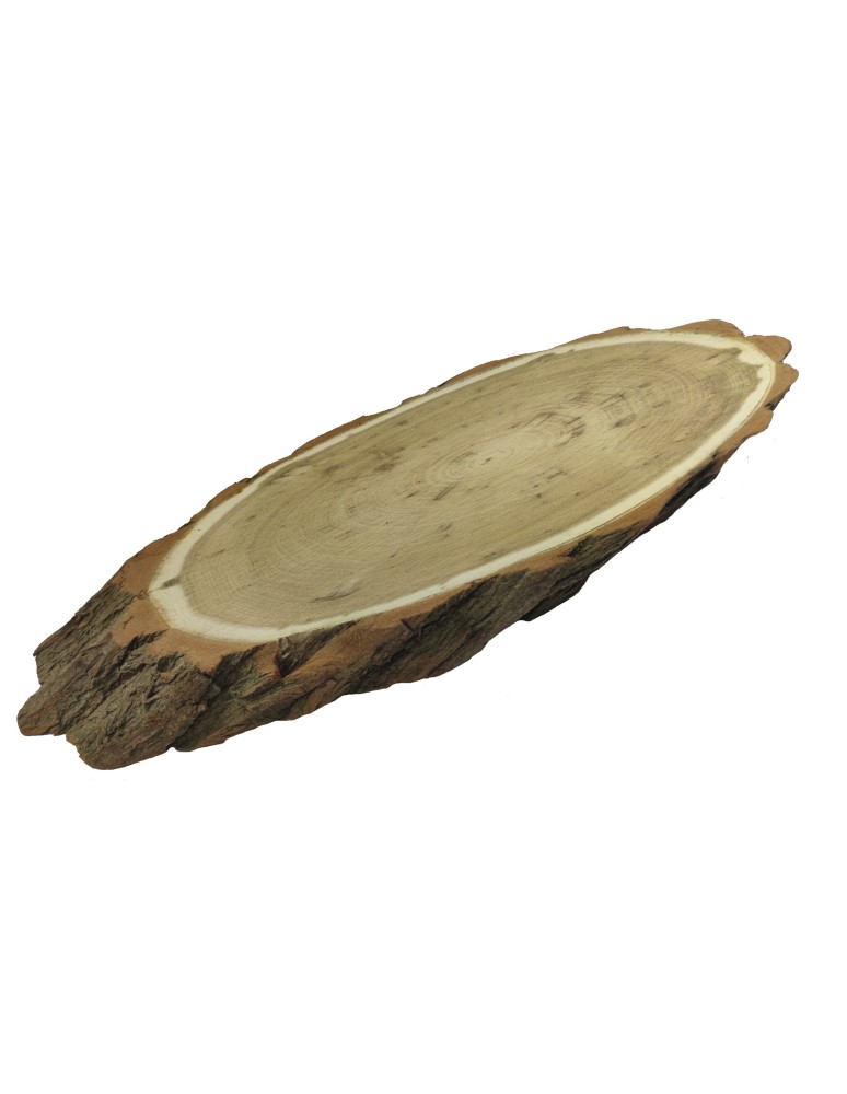 Plastry Drewna - Plaster Akacji 40-45 cm/ gr. 4 cm/ Szlifowany z Korą - produkt b2b.wamar.biz 5