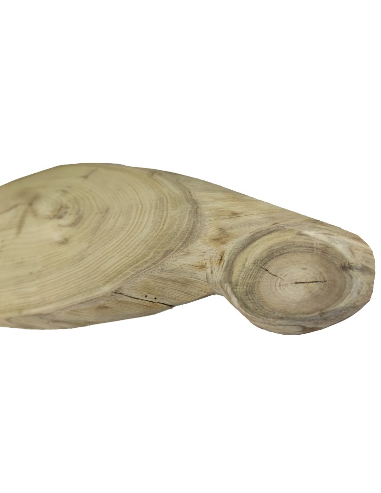 Plastry Drewna - Okorowany Plaster Akacji 69x20 cm/ gr. 2,5 cm/ Szlifowany Unikat 123321 - product b2b.wamar.biz 5