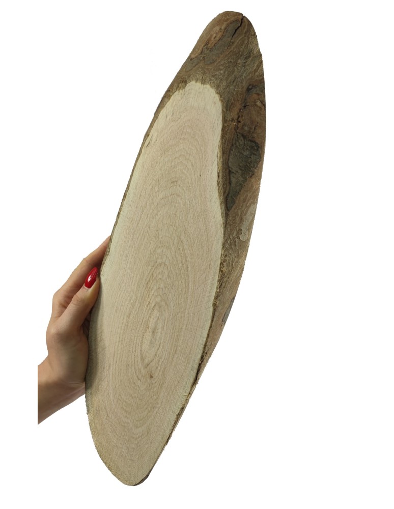 Plastry Drewna - Plaster Dębu 30-35 cm/ gr. 2 cm/ Szlifowany z Korą - product b2b.wamar.biz 6