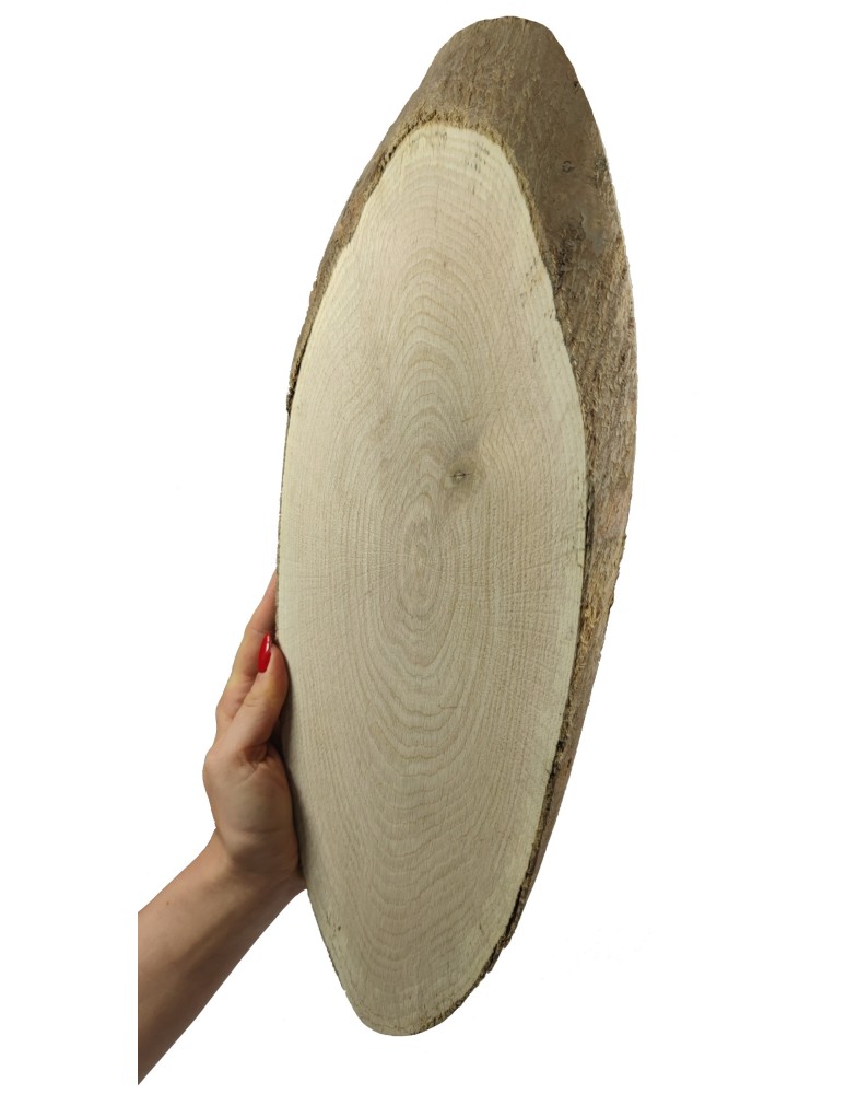 Plastry Drewna - Plaster Dębu 40-45 cm/ gr. 2 cm/ Szlifowany z Korą - produkt b2b.wamar.biz 3