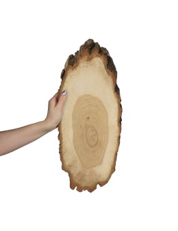 Plaster Dębu 55-60 cm/ gr. 2 cm/ Szlifowany z Korą