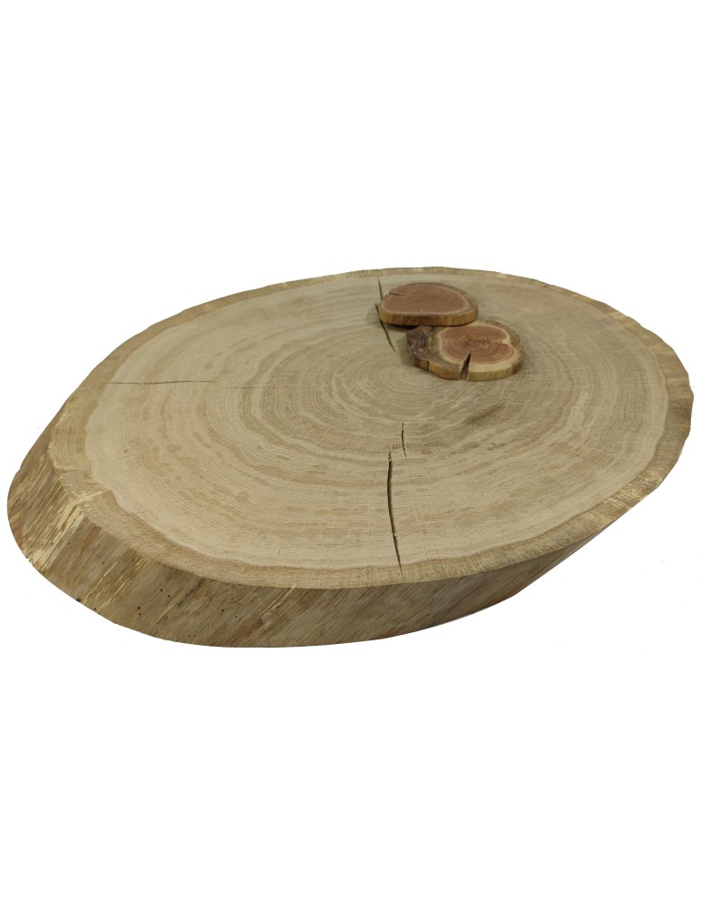 Plastry Drewna - Okorowany Plaster Dębu 61x42 cm/ gr. 6 cm/ Szlifowany Unikat 123509 - product b2b.wamar.biz 1